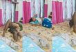 Village Randi bhabhi Fucking Saree Mms